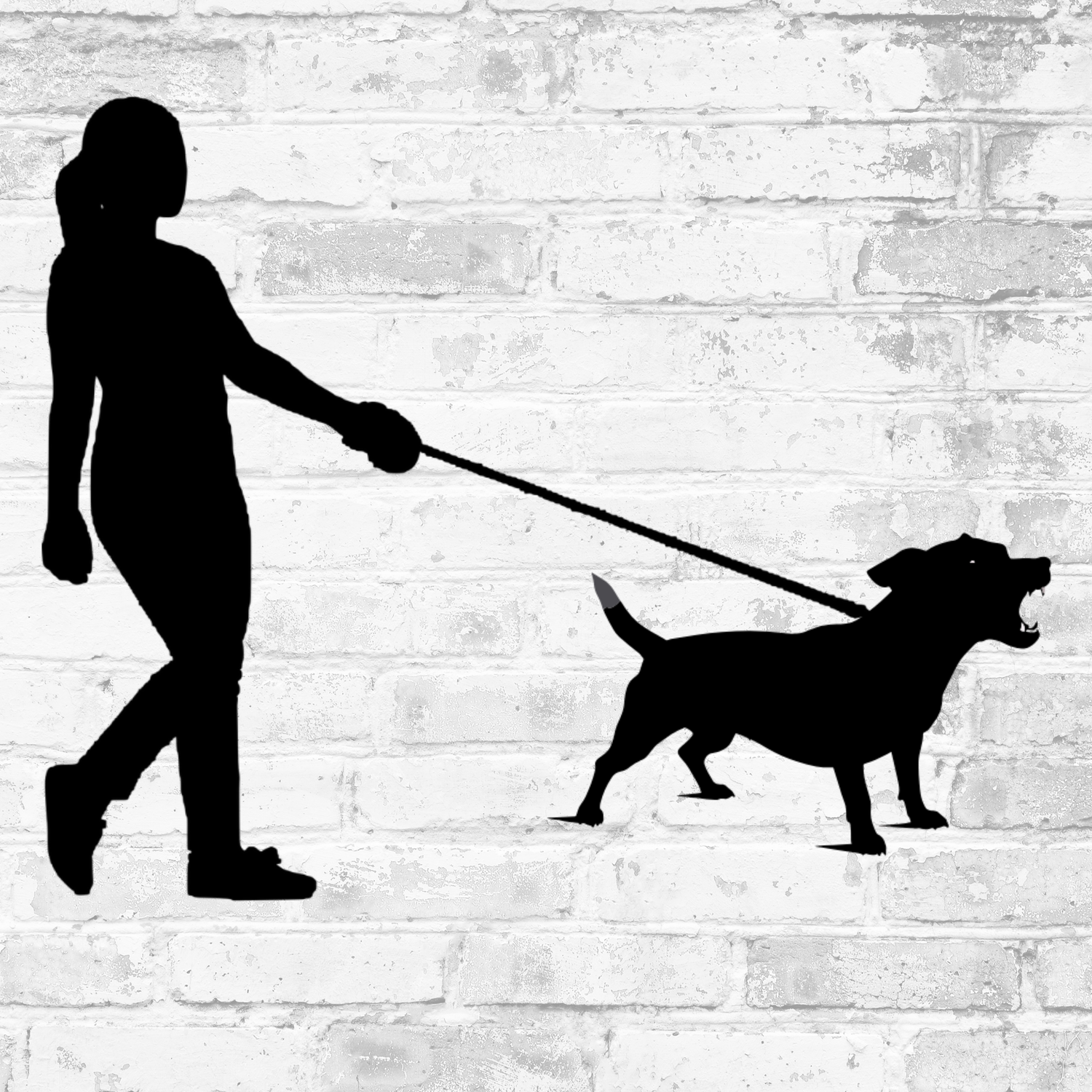 Intensivkurs: Hundebegegnung entspannt meistern ❤️🐶